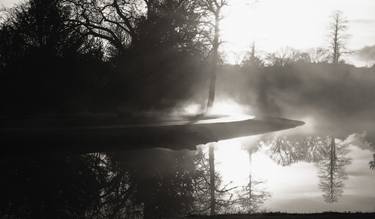 Original Documentary Tree Photography by Keith Bernstein