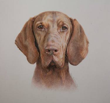 Original Realism Dogs Drawings by Irina Kryuchkova