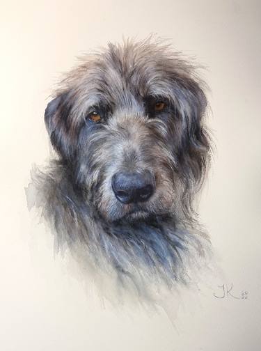 Portrait if Irish Wolfhound thumb