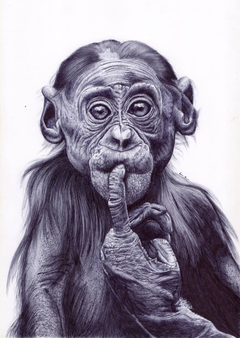 Chimpanzee Drawing - Carinewbi