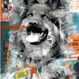 German Shepherd by Nora Bland