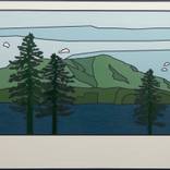 Overlook 2 Polaroid  (ed. of 3) by Todd Koelmel