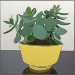 Collection Outside Dallas, TX