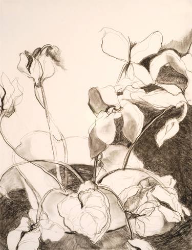Print of Conceptual Botanic Drawings by Caren Sommer-Lazar