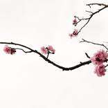 Gentleness - Limited Edition 1 of 1 by Mayu Kataoka
