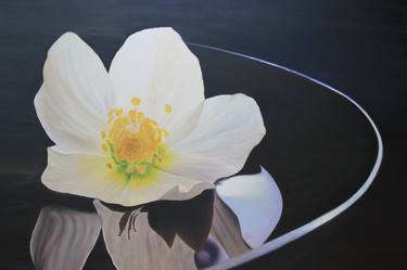 Original Photorealism Still Life Paintings by Doris Hauptmann