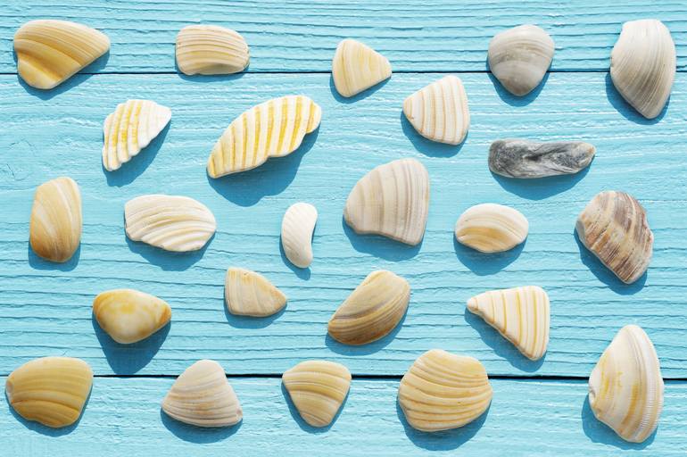 Print of Contemporary Beach Photography by Christine Marie
