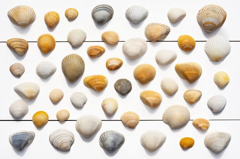 Print of Contemporary Beach Photography by Christine Marie