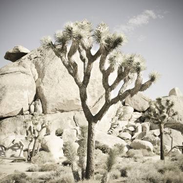 Original Documentary Landscape Photography by Charles Plante