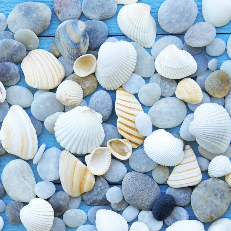 Print of Contemporary Beach Photography by Christine Marie