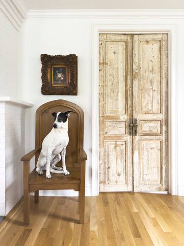 Original Documentary Dogs Photography by Christine Marie