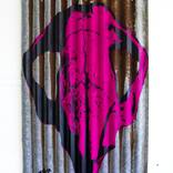Wombat Skull in Pink by Mandy Schoene-Salter