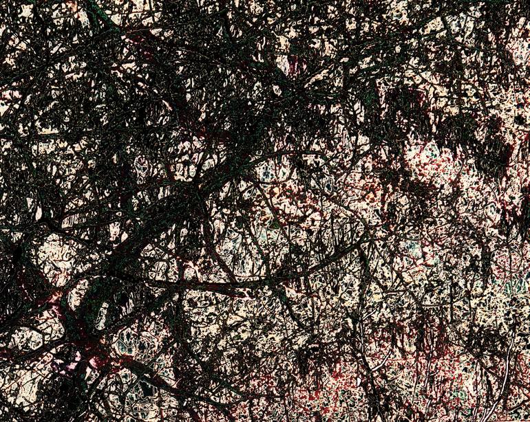 Original Abstract Expressionism Nature Photography by David Matthew Lyons