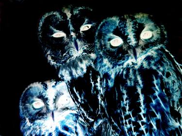 owls thumb