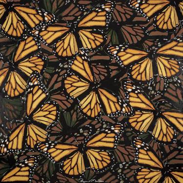 Monarch Butterflies (Borboletas Monarcas) thumb