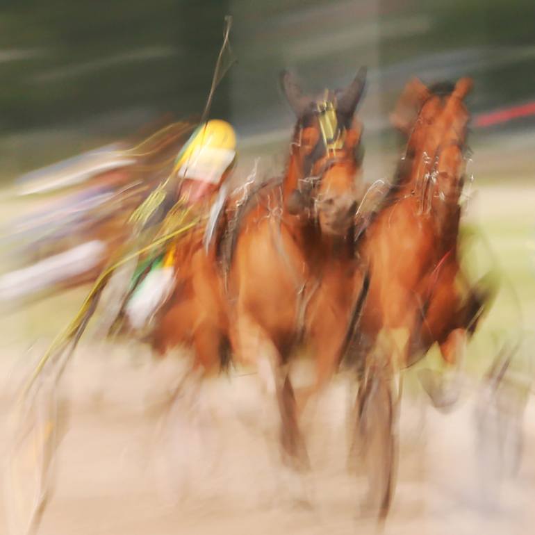 Original Impressionism Horse Photography by Hazel Ling