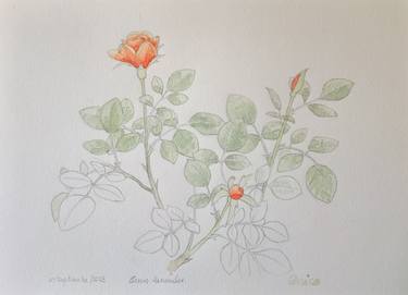 Original Botanic Painting by Quico Hernández