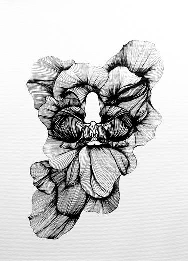 Original Floral Drawing by Sonia Rodriguez covaandco
