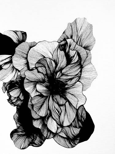 Original Floral Drawing by Sonia Rodriguez covaandco