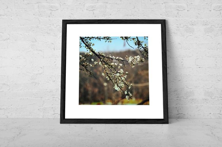 Original Impressionism Floral Photography by Taylan Soyturk