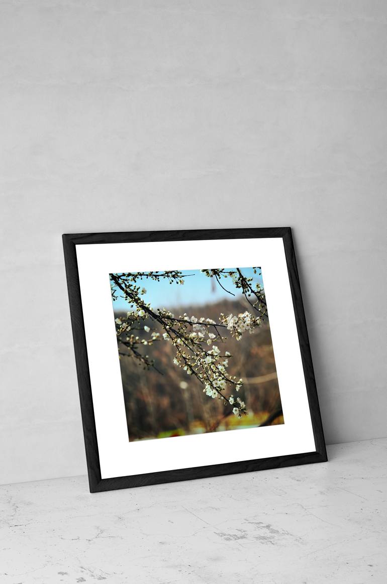 Original Impressionism Floral Photography by Taylan Soyturk