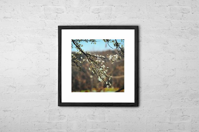 Original Impressionism Floral Photography by Taylan Soyturk