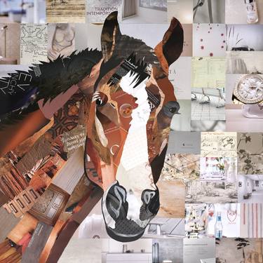 Print of Abstract Horse Collage by M Mermic