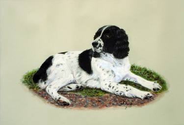 Print of Fine Art Dogs Drawings by Duncan Gooding