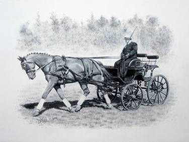Original Fine Art Horse Drawings by Duncan Gooding