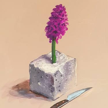 Hyacinth in Cheese thumb