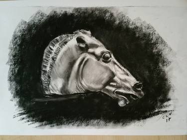 Print of Horse Drawings by Victor Costachescu