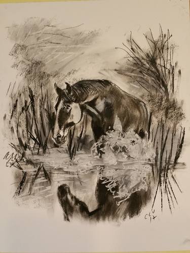 Print of Fine Art Animal Drawings by Victor Costachescu