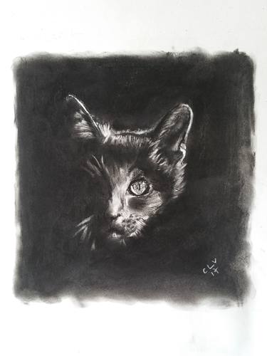 Print of Fine Art Animal Drawings by Victor Costachescu
