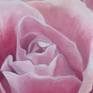 view additional image 6