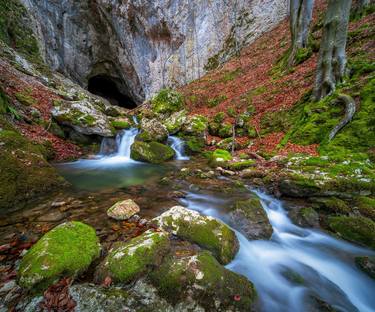 Original Nature Photography by Cosmin Stan