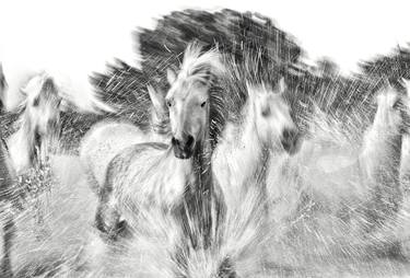 AUTOPILOT | Black and white photo print of running horses thumb