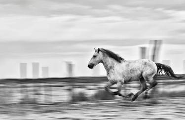 WILD HORSE ART | MASTER BLUR thumb