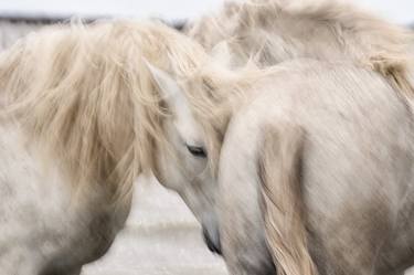 HORSE PHOTO PRINT | SOULMATES thumb