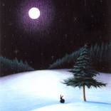 Peace by Danielle Haney