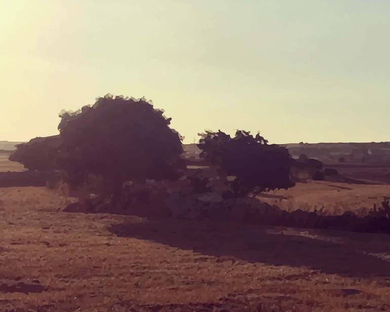 Original Other Landscape Photography by Daniel Vello