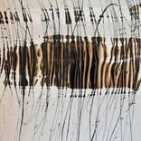 Musica Canna (Reed Music) by Patricia Colyer