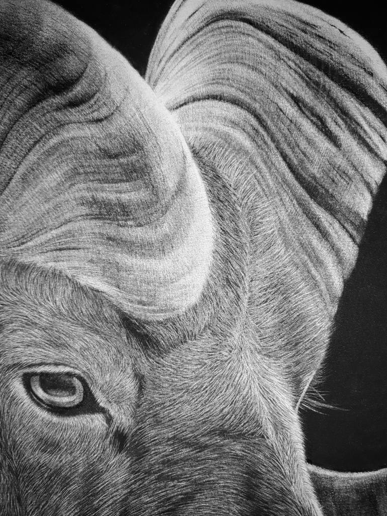 Original Realism Animal Drawing by Edwin Darwin