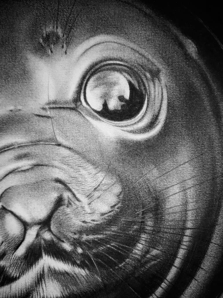 Original Other Animal Drawing by Edwin Darwin