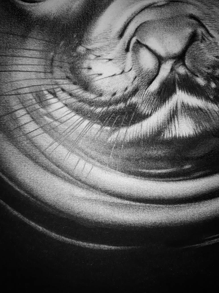 Original Other Animal Drawing by Edwin Darwin