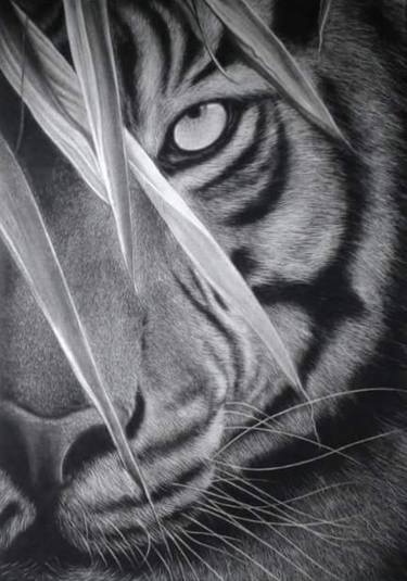 Tiger - God's creatures series thumb