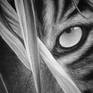 Inspired by the stare of the tiger. Calm, mysterious. The artwork is A3 paper size (29.7×42)cm, it will be shipped rolled, securely inside a shipping tube.