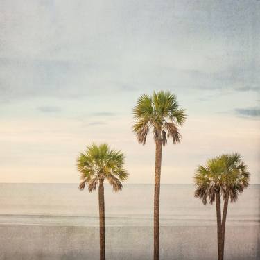 Saatchi Art Artist Preston Gray; Photography, “Palms Beach Sky” #art