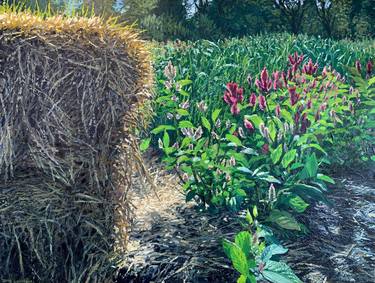 The Kitchen garden #10 - Hay Bales thumb