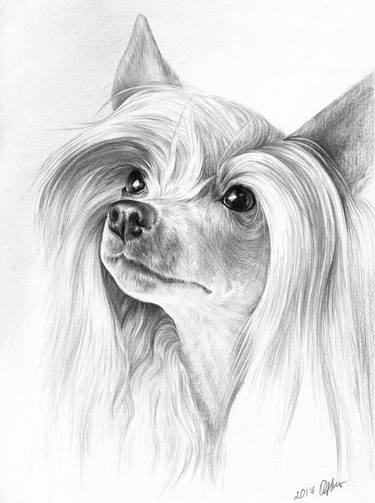 Dogs Face Drawings For Sale Saatchi Art