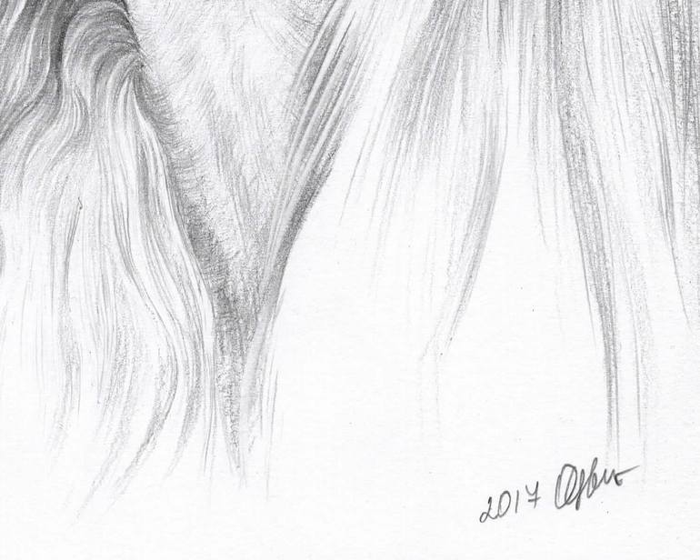 Original Realism Animal Drawing by Olga Tsvetkova